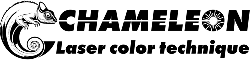 Chameleon logo